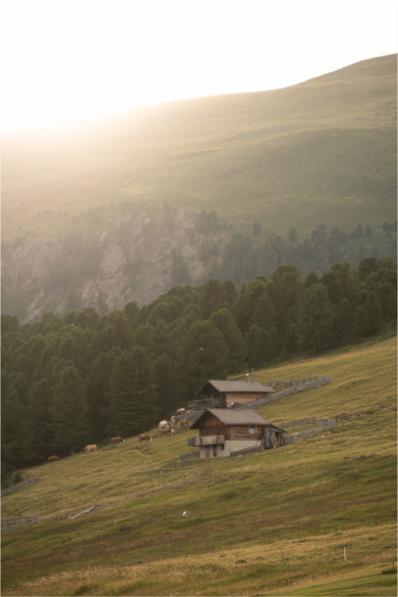 Golden Hour in the Alps