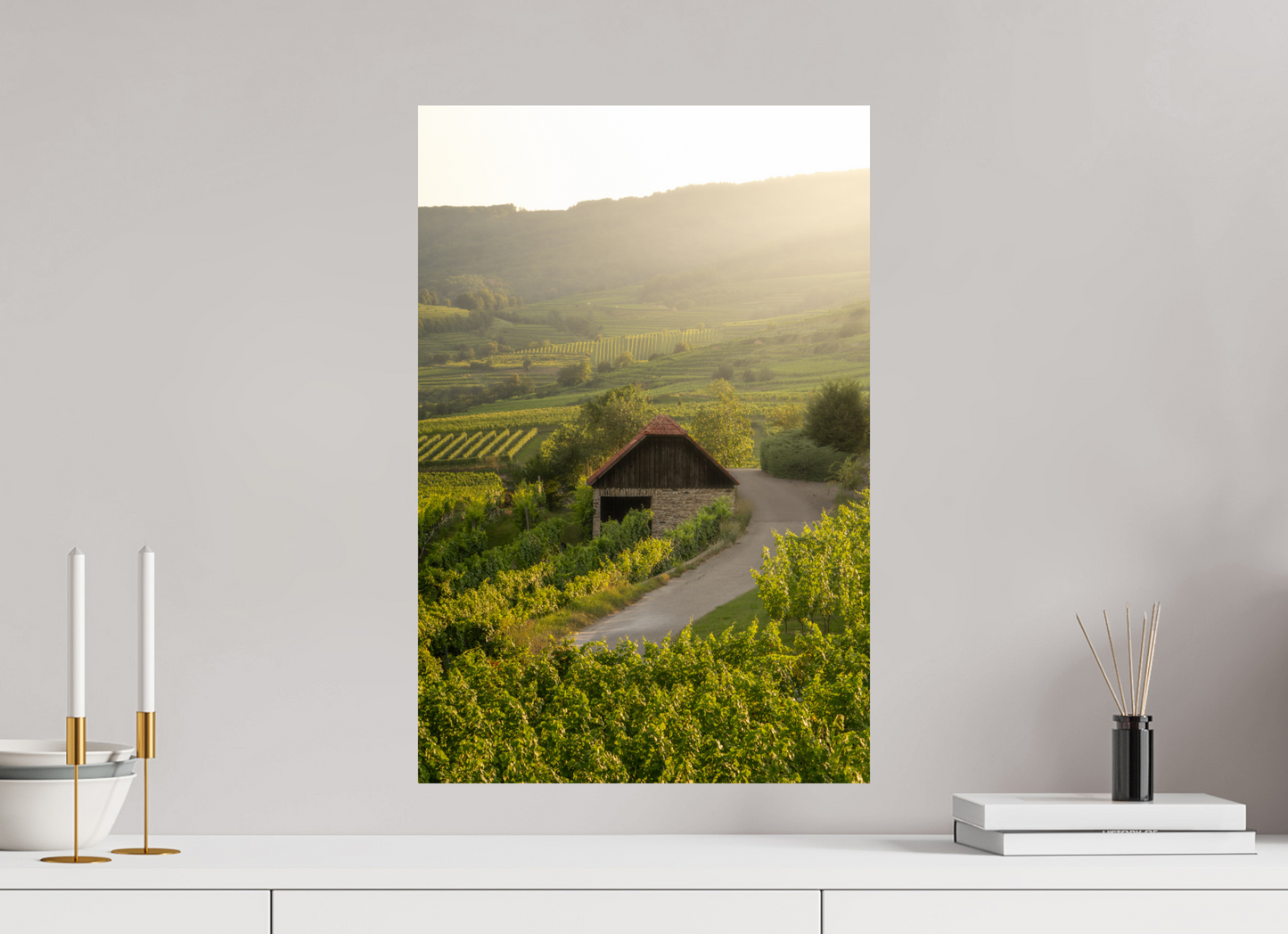 Austrian vineyards