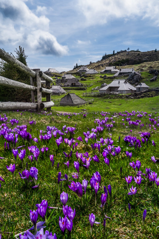 Velika Planina