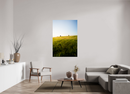 Late Afternoon on the Meadow