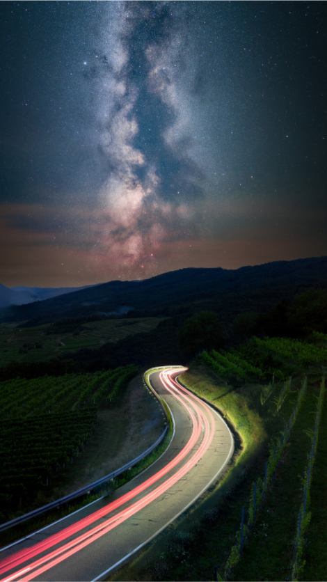 Curves Through the Vineyards