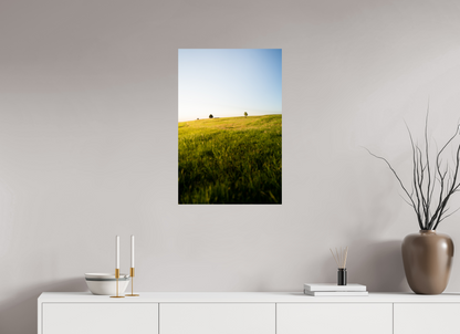 Late Afternoon on the Meadow