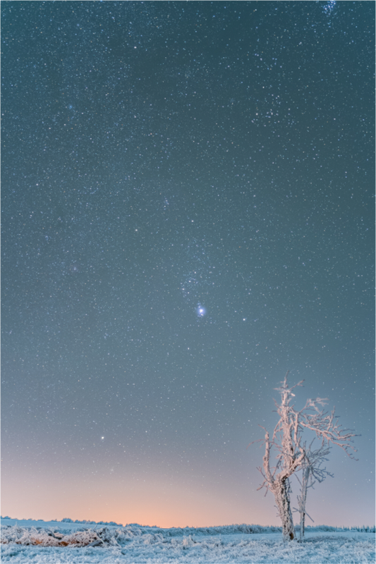 Frozen Silence