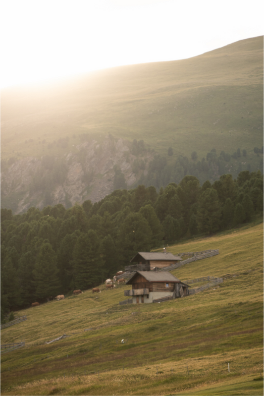 Golden Hour in the Alps