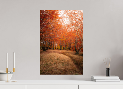 Autumn