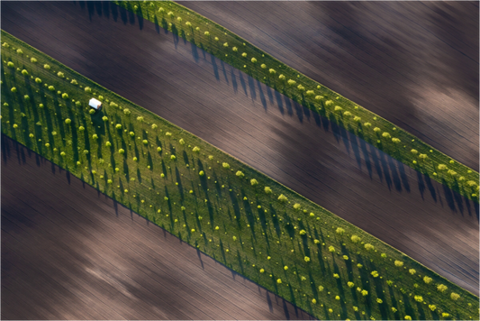 Patterns of Spring