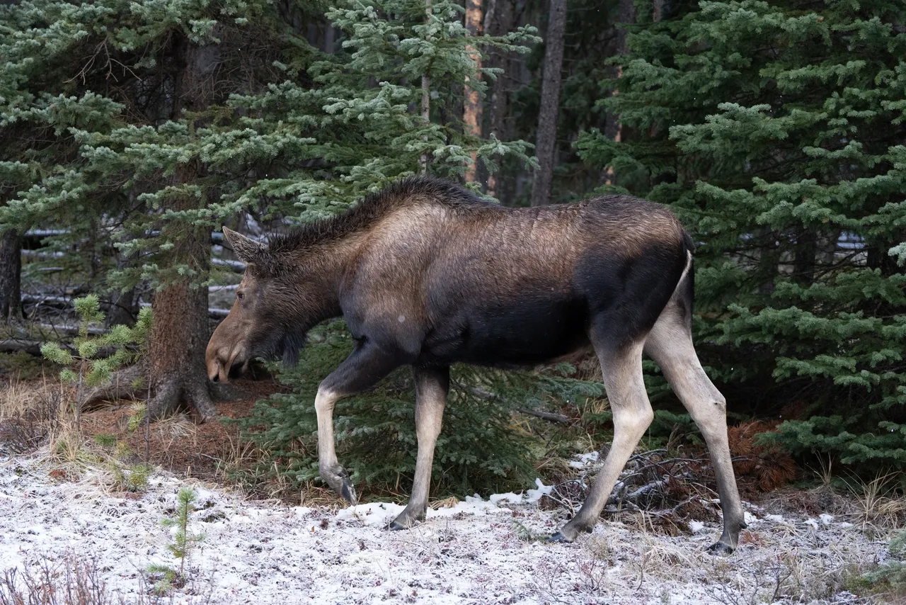 KAR08840.jpg
