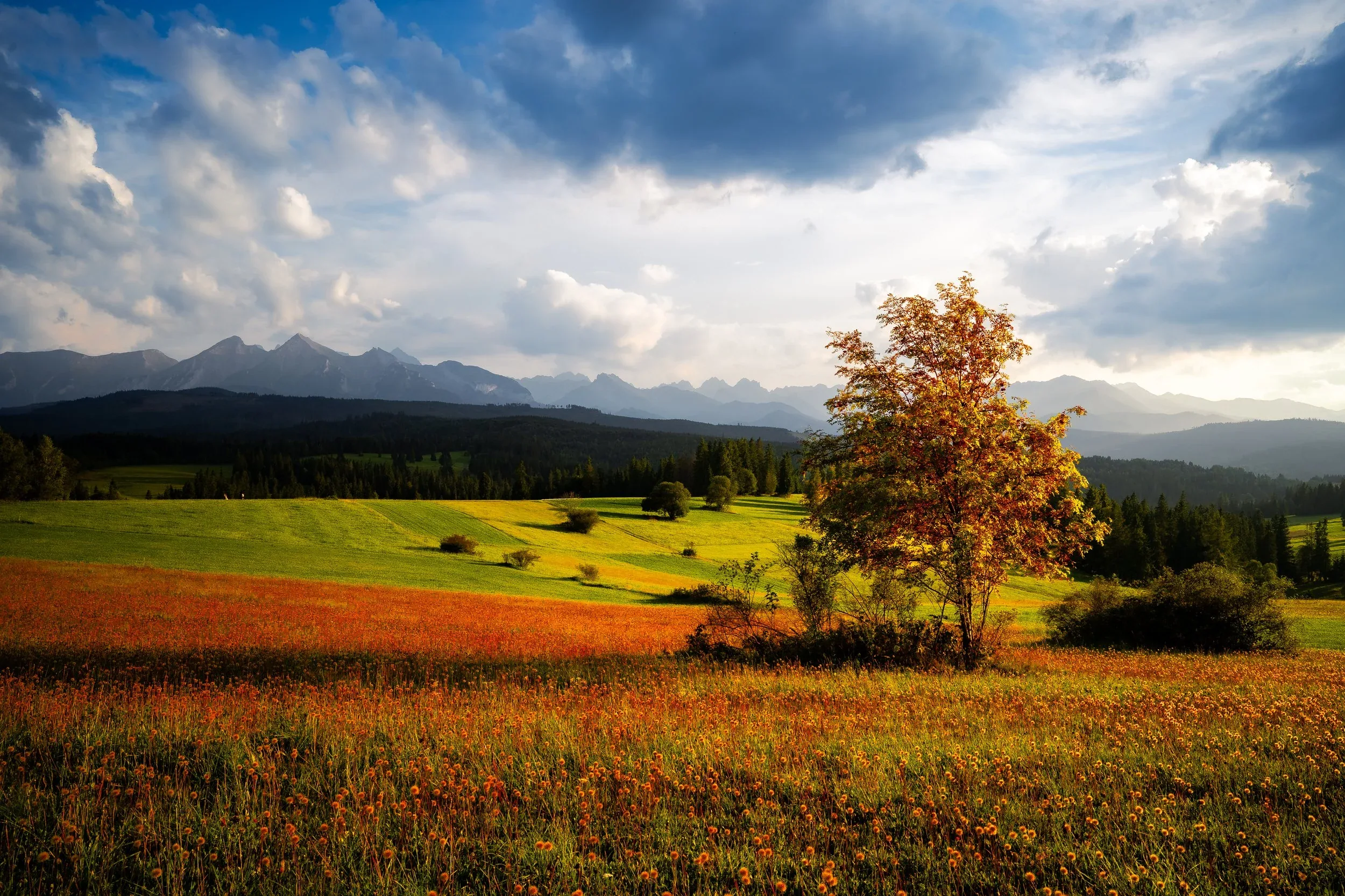 Slovakia