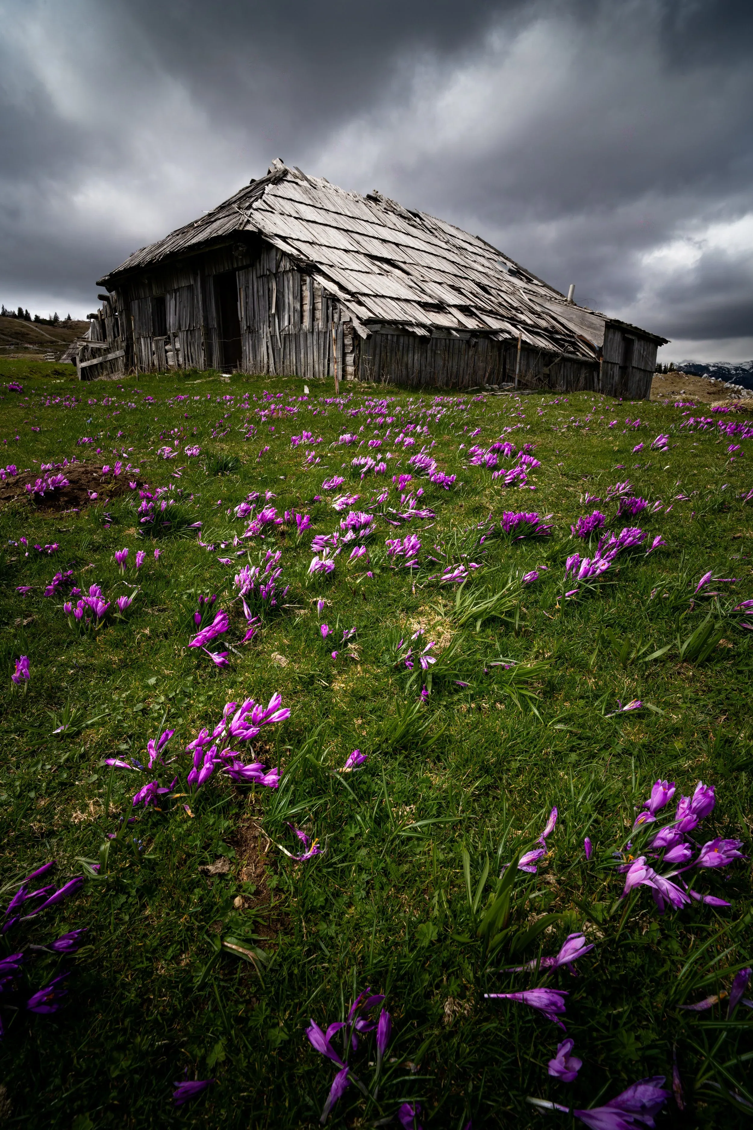Slovenia