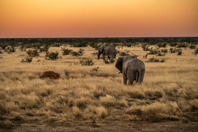 Namibia