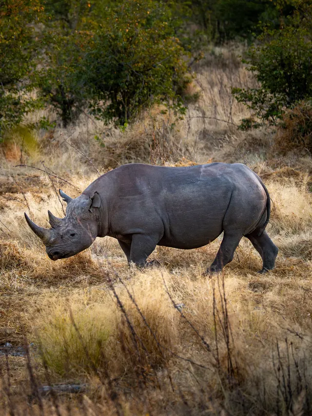 Namibia