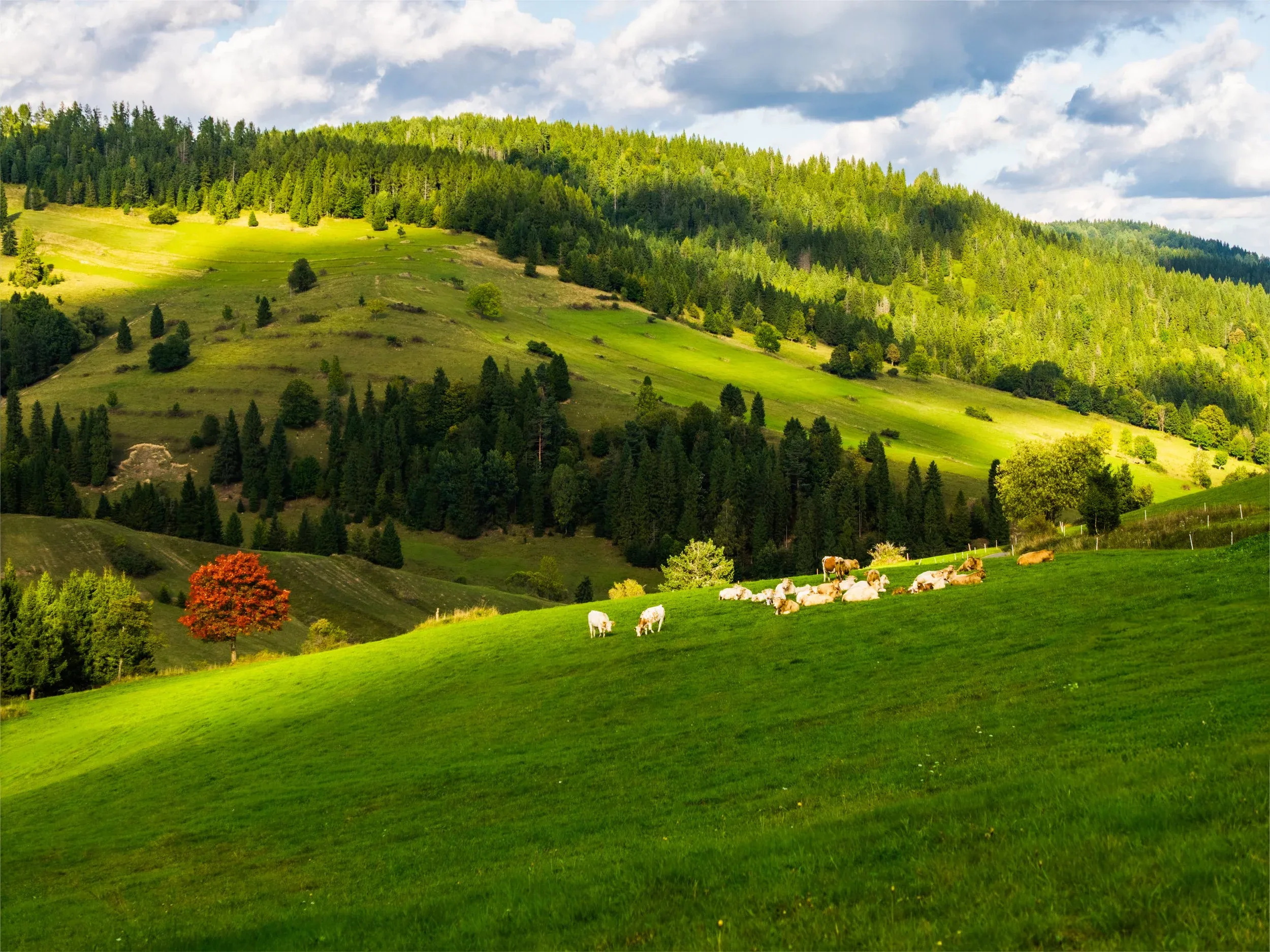 Slovakia