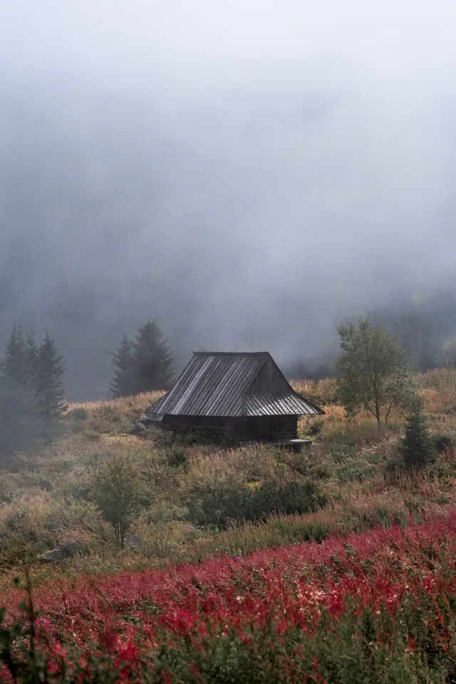 Slovakia