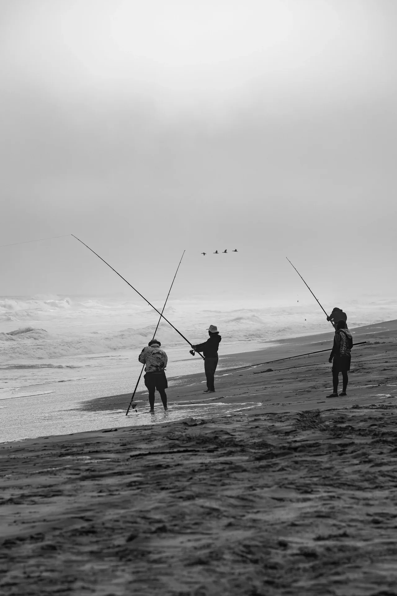 DSC02460-2.jpg