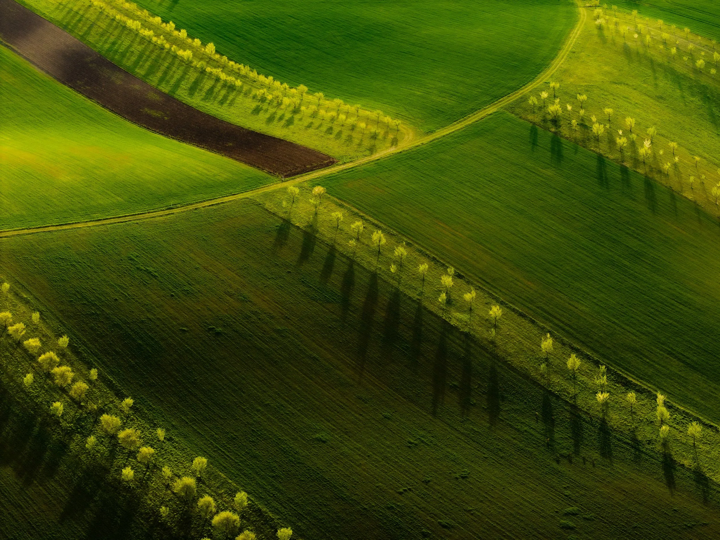 Czech Republic