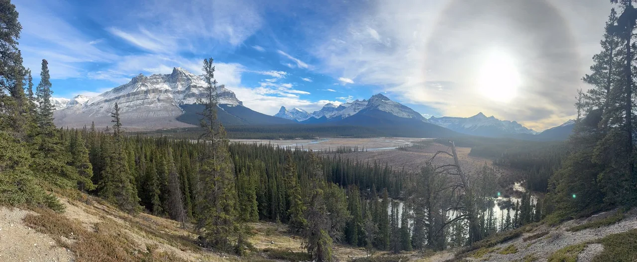 IMG_0081.jpg