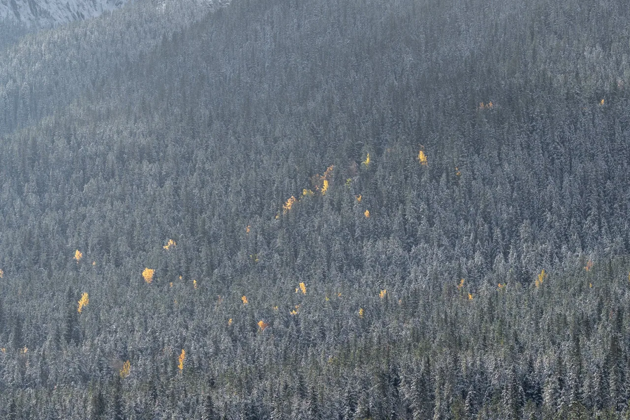 KAR05211.jpg