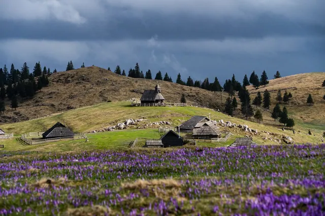 Slovenia - Velika Planina