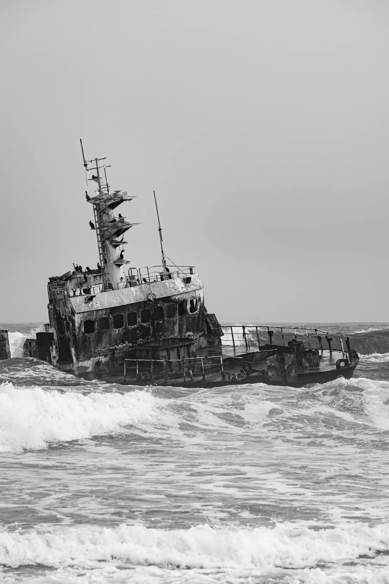 DSC02438-2.jpg