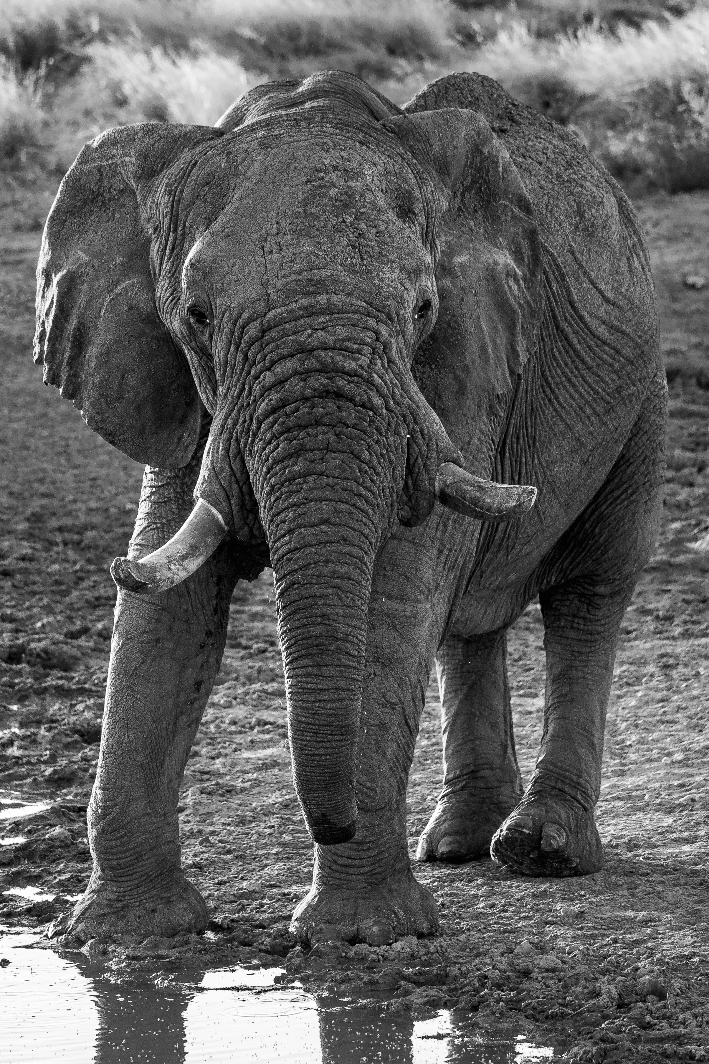 Namibia
