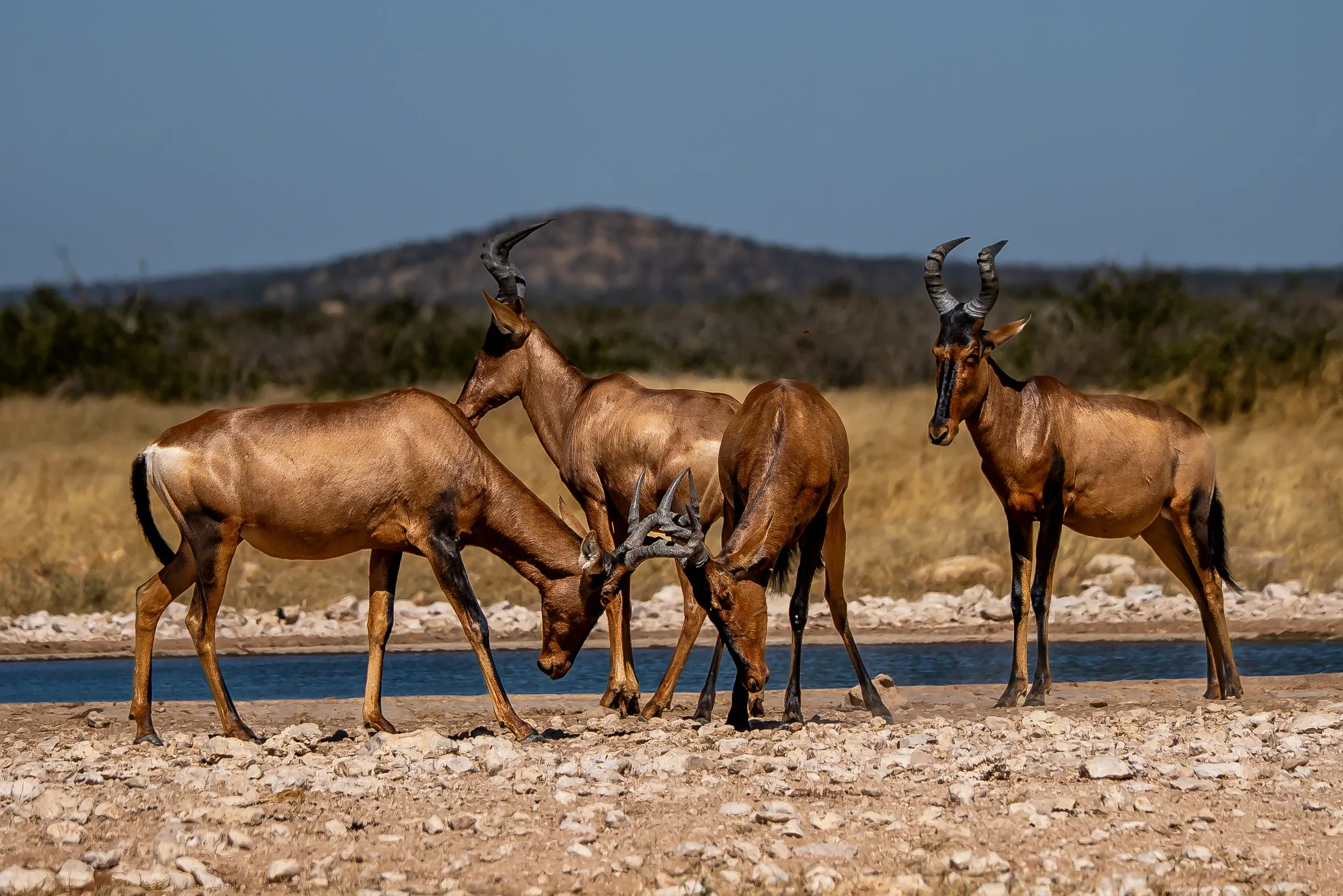 Namibia