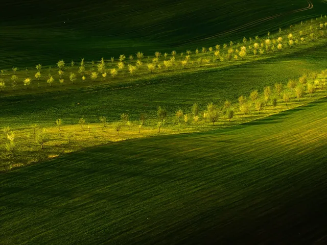 Czech Republic