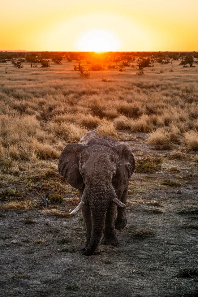 Namibia