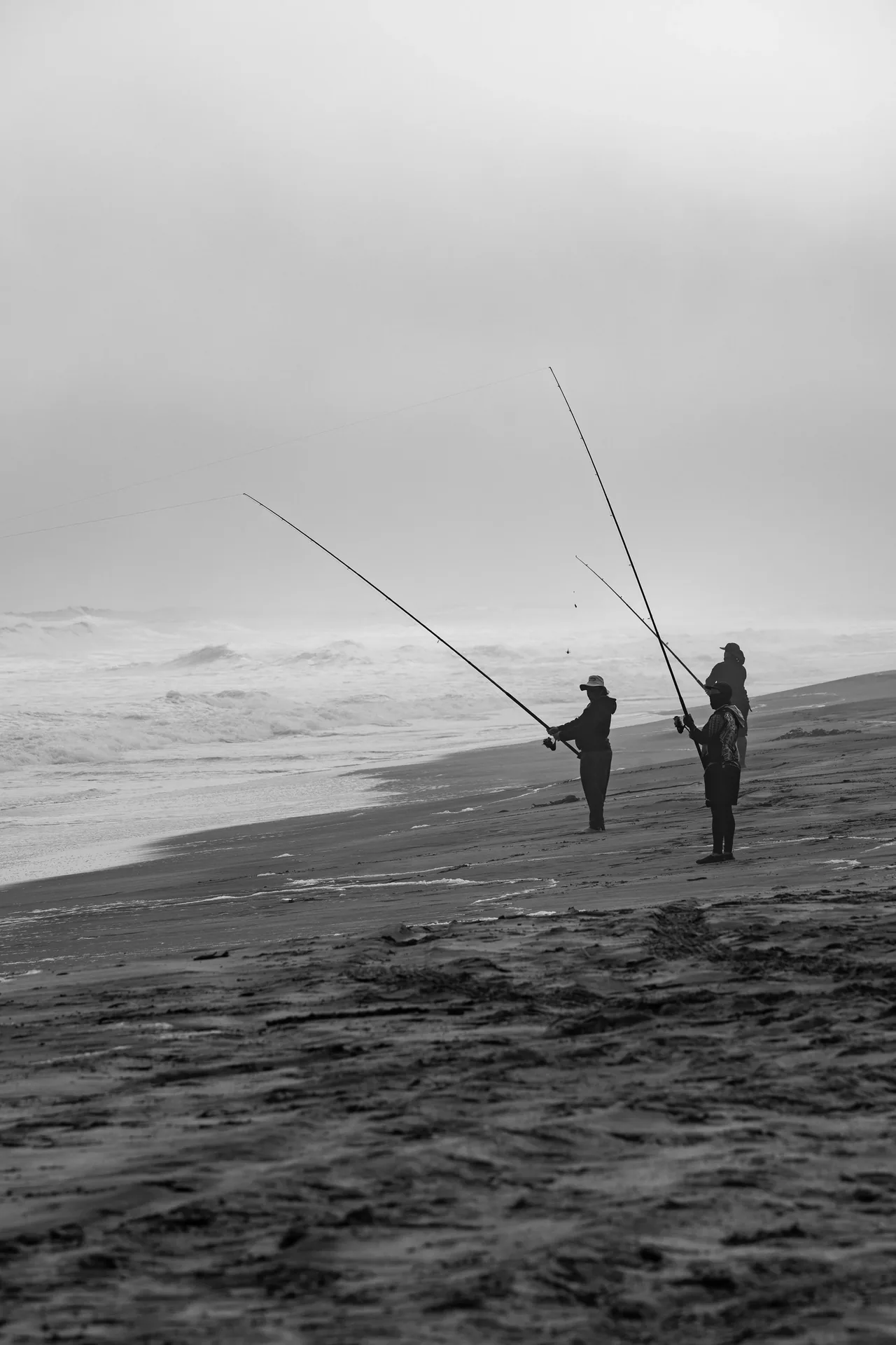 DSC02470-2.jpg