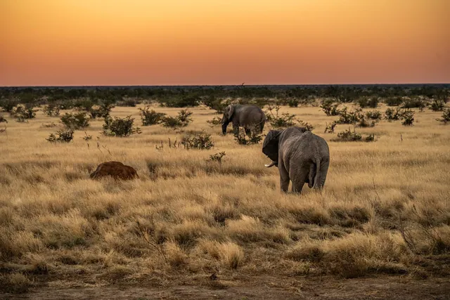 Namibia